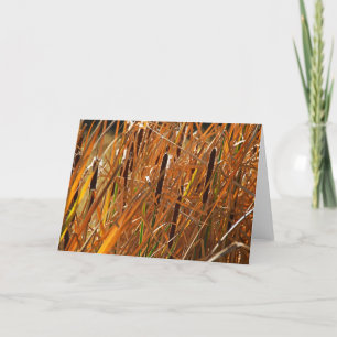 Autumn Reeds Number 6 Card