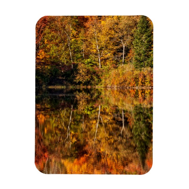 Autumn reflection on Coffin Pond Magnet (Vertical)