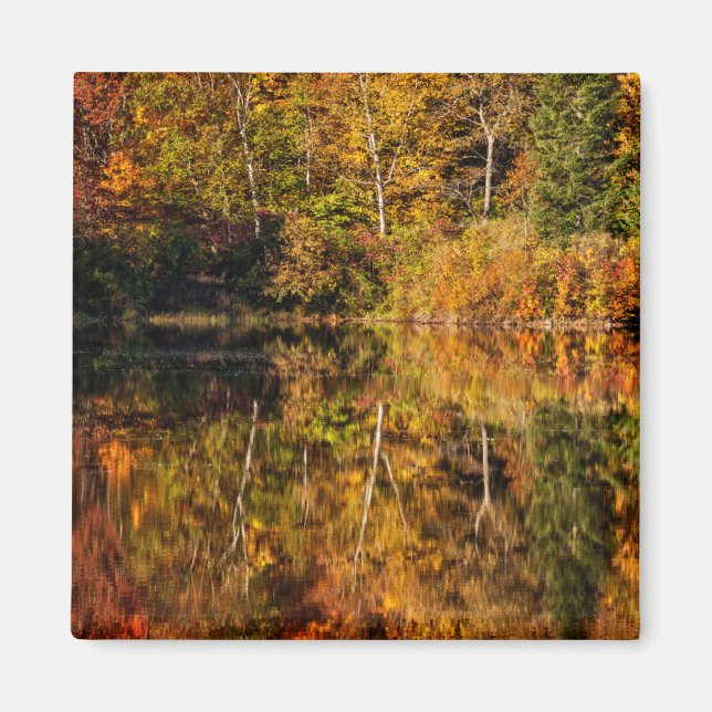 Autumn reflection on Coffin Pond Magnet (Front)