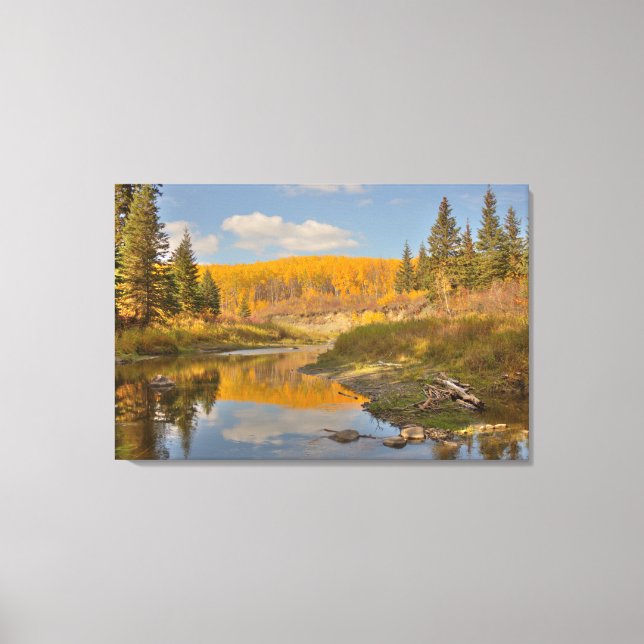 Autumn Reflections - Aspen Poplars Canvas Print (Front)