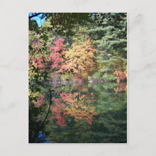 Autumn Reflections Landscape I Postcard