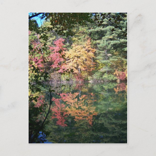 Autumn Reflections Landscape I Postcard (Front)