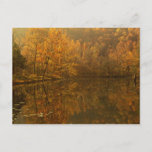 Autumn reflections on pond. postcard