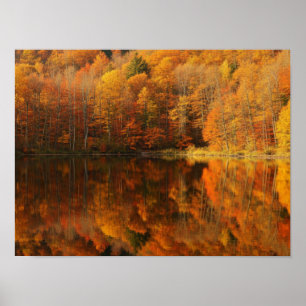 Autumn Reflections Poster