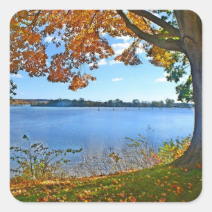Autumn River Scene Sticker