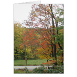 Autumn Road 2
