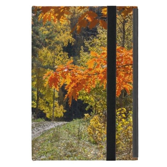 Autumn road iPad mini cover