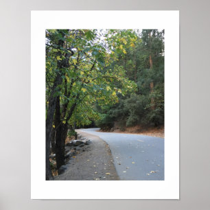 Autumn Road Leaves Yosemite Poster - Original
