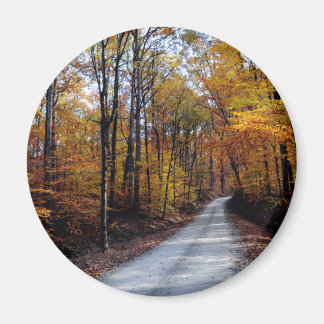Autumn Road Magnet