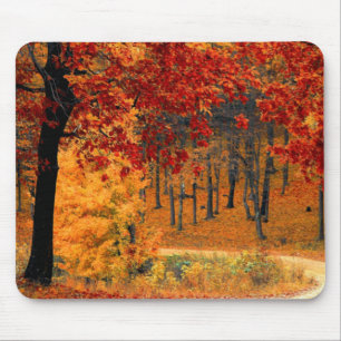 Autumn Road Mouse Pad