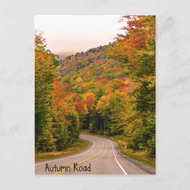 Autumn Road Postcard (Front)