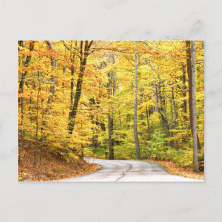 Autumn road postcard