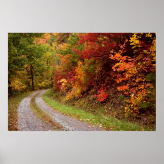 Autumn  Road  Print
