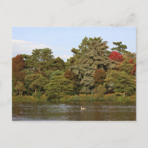 Autumn, Roath Park Lake, Cardiff Postcard