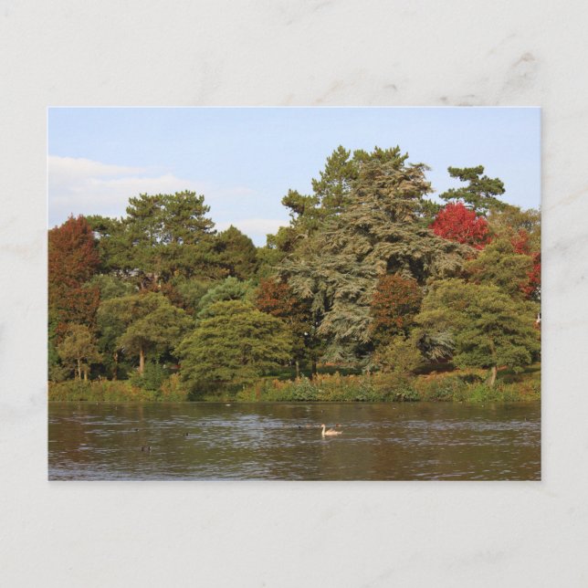 Autumn, Roath Park Lake, Cardiff Postcard (Front)