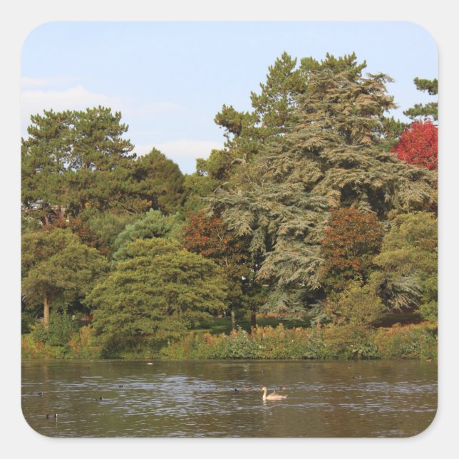 Autumn, Roath Park Lake, Cardiff Square Sticker (Front)