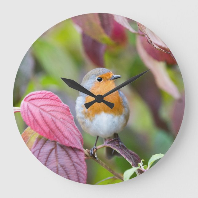 Autumn Robin Clock with red leaves in fall (Front)