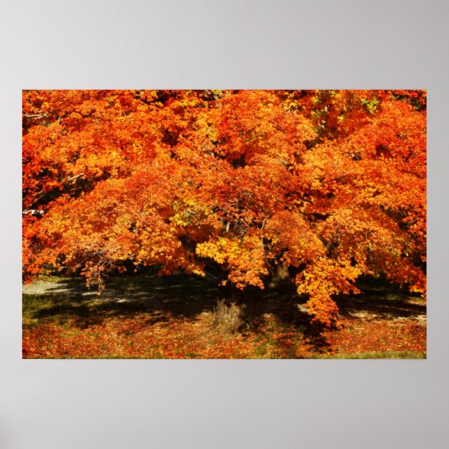 Autumn Rust Poster (Front)
