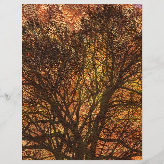 Autumn Rustic Texture Tree Scrapbooking (Front)