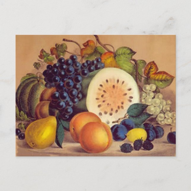 Autumn’s Bounty - Postcard (Front)
