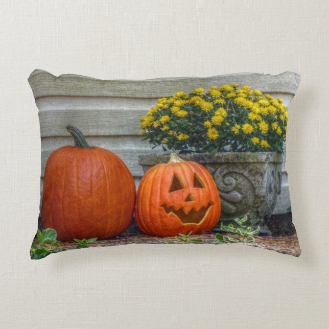 Autumn Scene Accent Pillow (Front)