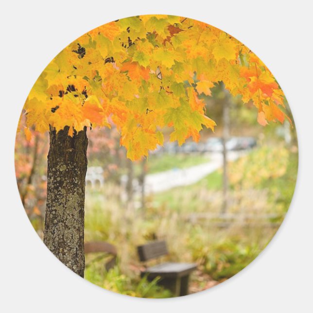 Autumn Scene Classic Round Sticker (Front)