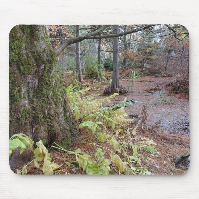 Autumn scene in a botanical garden. mouse pad (Front)