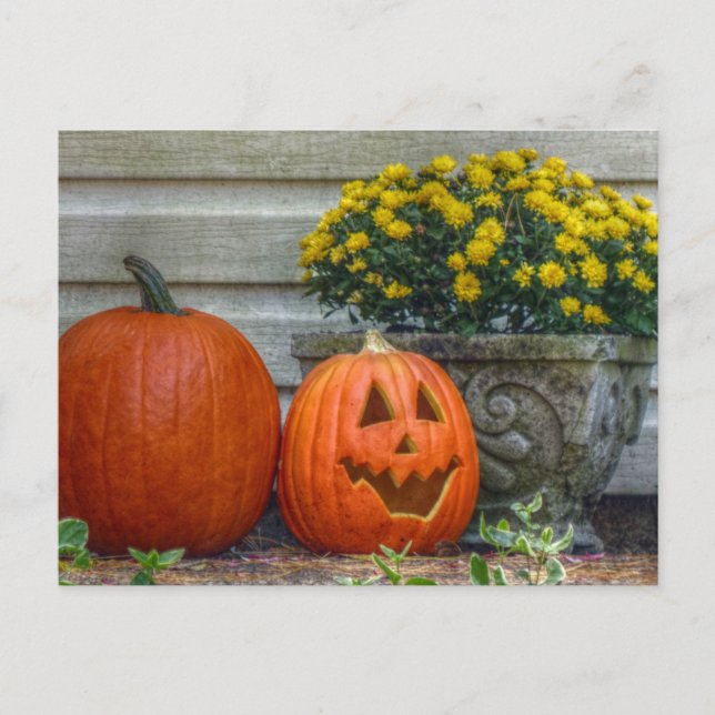 Autumn Scene Post Card (Front)