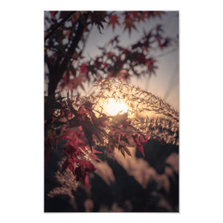 Autumn Scenery in Japan 2023 Photo Print