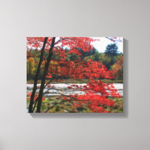 Autumn Secluded Marsh Nature Canvas Print