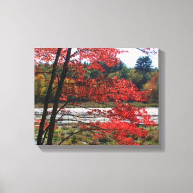 Autumn Secluded Marsh Nature Canvas Print (Front)