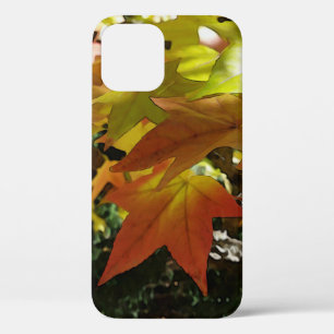 Autumn shades iPhone 12 case