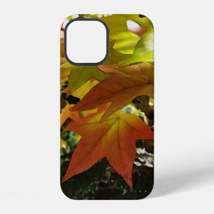 Autumn shades iPhone 12 case