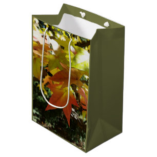 Autumn shades medium gift bag