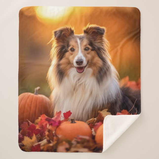 Autumn Sheltie Sherpa Blanket (Front)