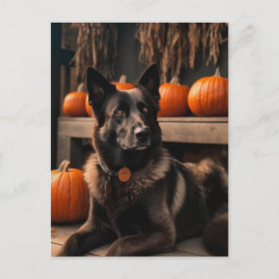 Autumn Shepherd Postcard