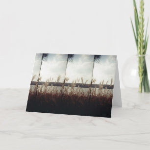 Autumn shoreline card