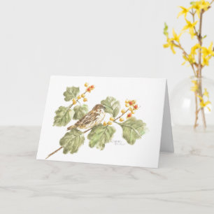 Autumn Sparrow Blank Note Card Greeting Card