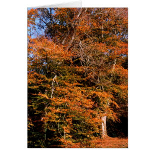 Autumn spirit card
