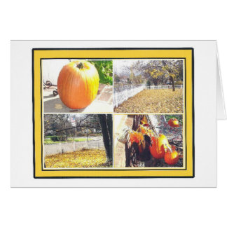 AUTUMN SPLENDOR