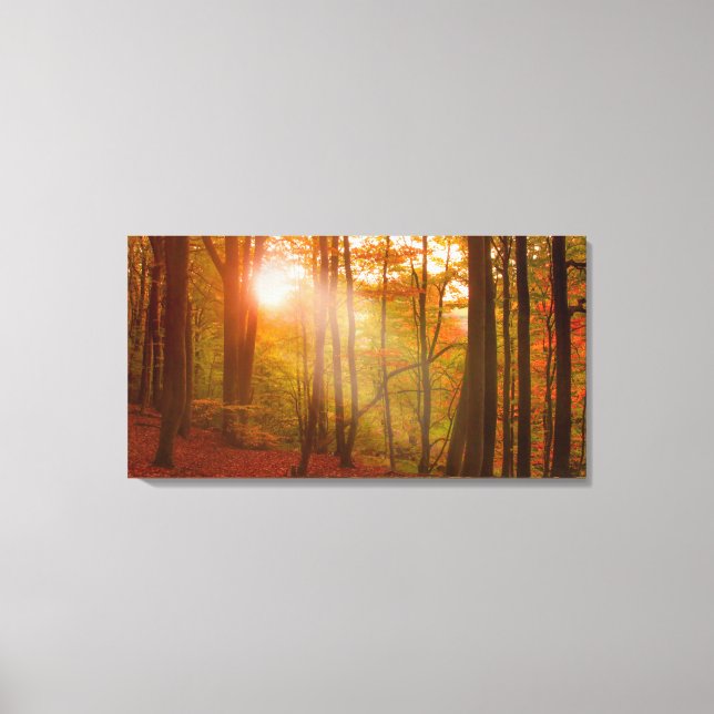 Autumn Splendour Canvas Print (Front)