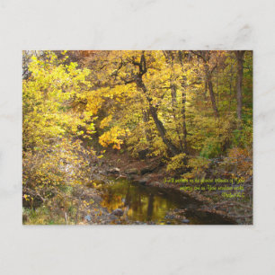 Autumn Splendour III Postcard