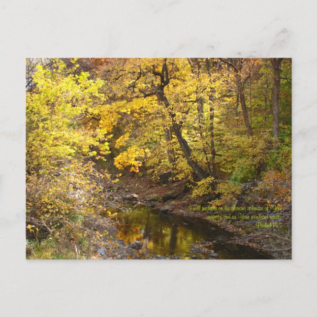 Autumn Splendour III Postcard (Front)