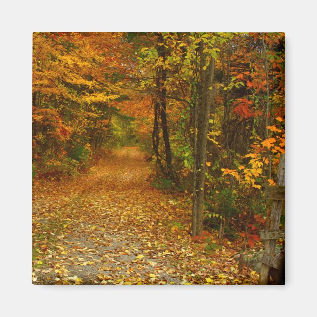 Autumn Splendour Magnet (Front)