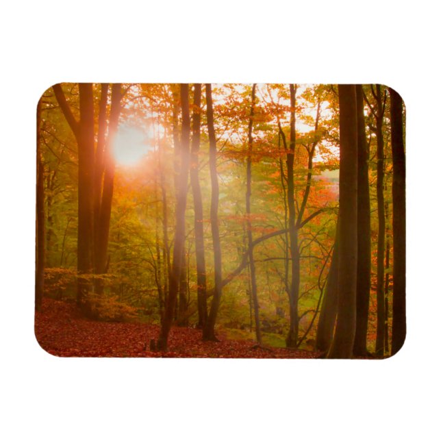 Autumn Splendour Magnet (Horizontal)