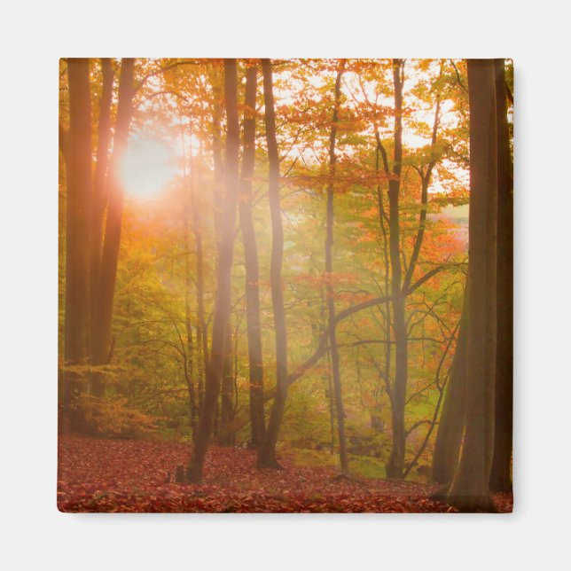 Autumn Splendour Magnet (Front)