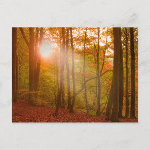 Autumn Splendour Postcard