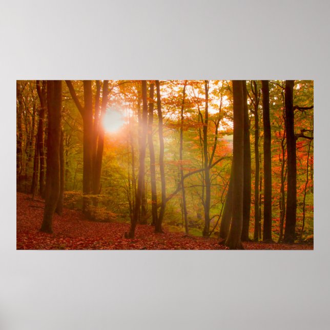 Autumn Splendour Poster (Front)