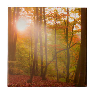 Autumn Splendour Tile