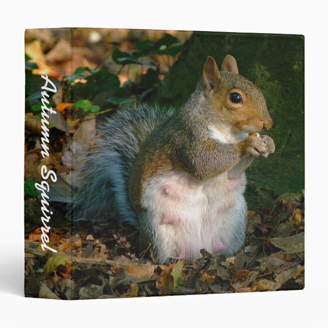 Autumn Squirrel (1.5in) Binder (Front/Spine)